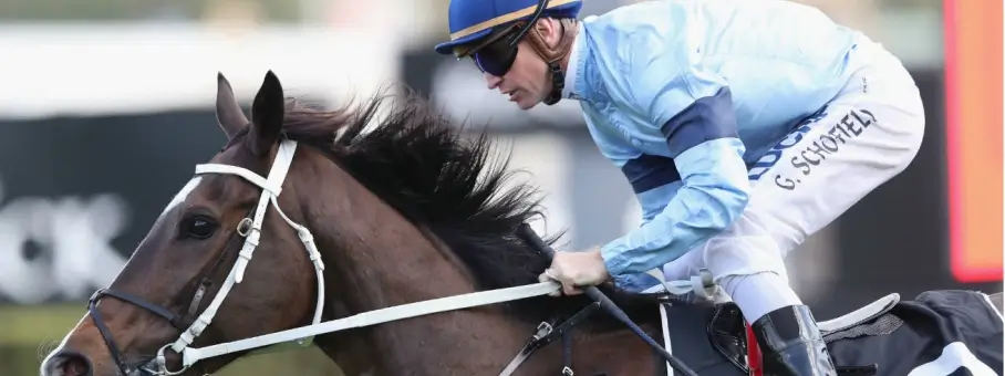 Libran horse racing .jpg