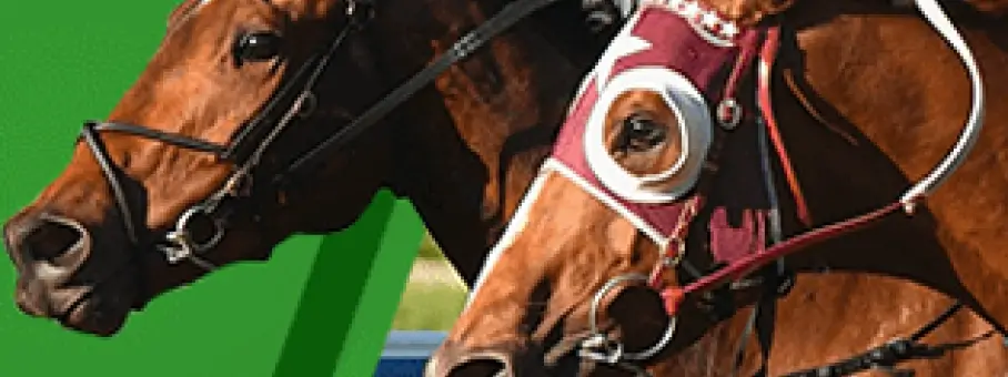 AUS_Unibet_eDM_Tile_Racing