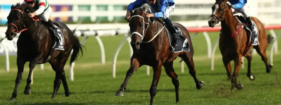 Winx centre queen elizabeth stakes 2019 hartnell right.jpg